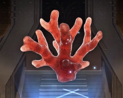 Red Coral