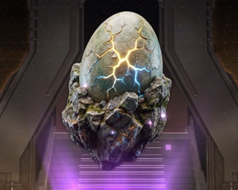Dinosaur Egg Fossil